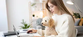 Обучение Wildberries на курсе Быстрый старт на маркетплейсах