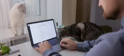 Python-разработчик, начни бесплатно