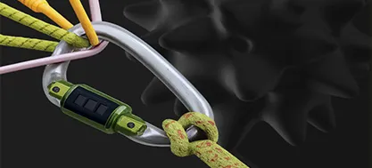 Профессия "Белый хакер" + 3 курса в подарок